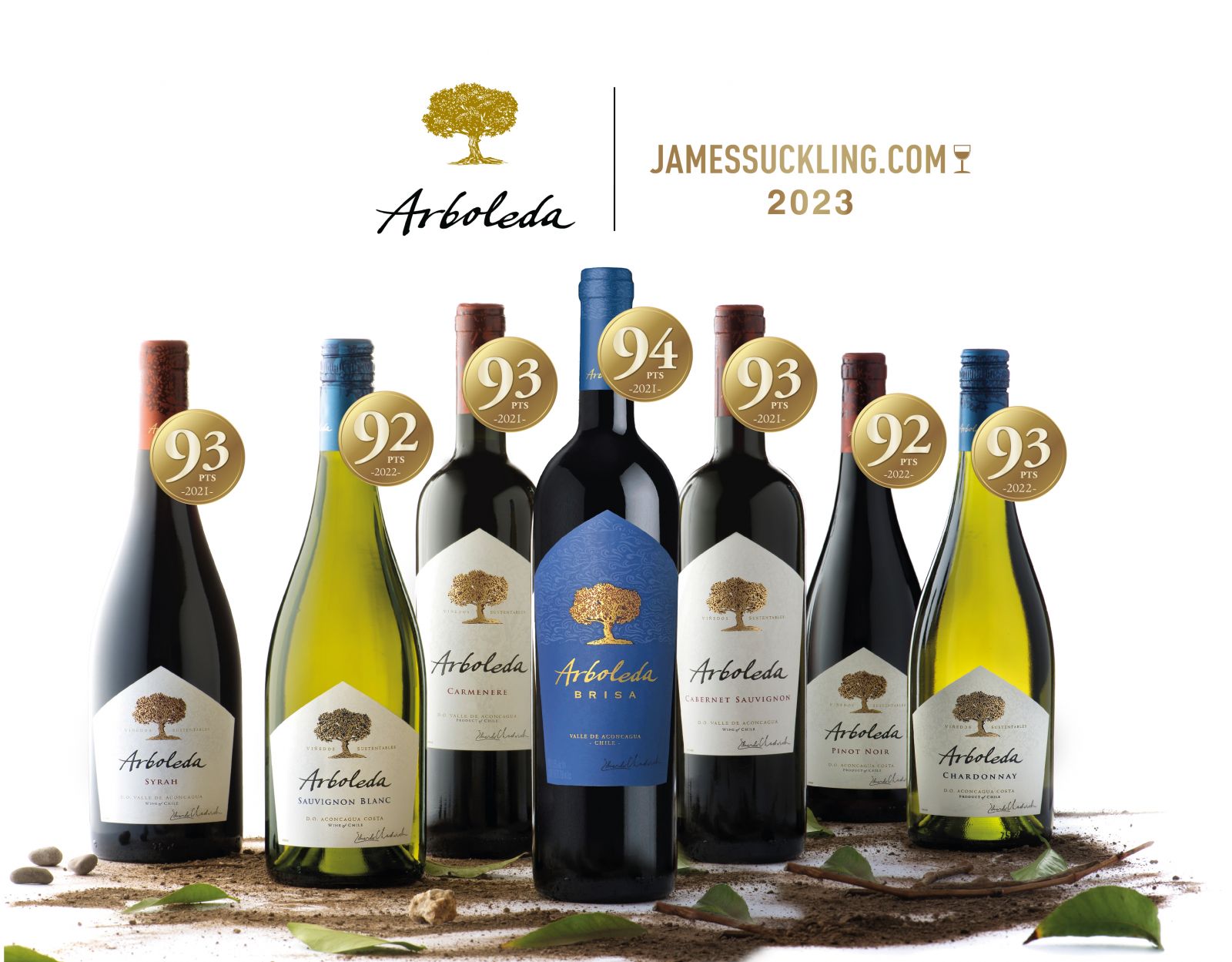 Rượu vang Chile Arboleda được đánh giá cao với điểm số cao
