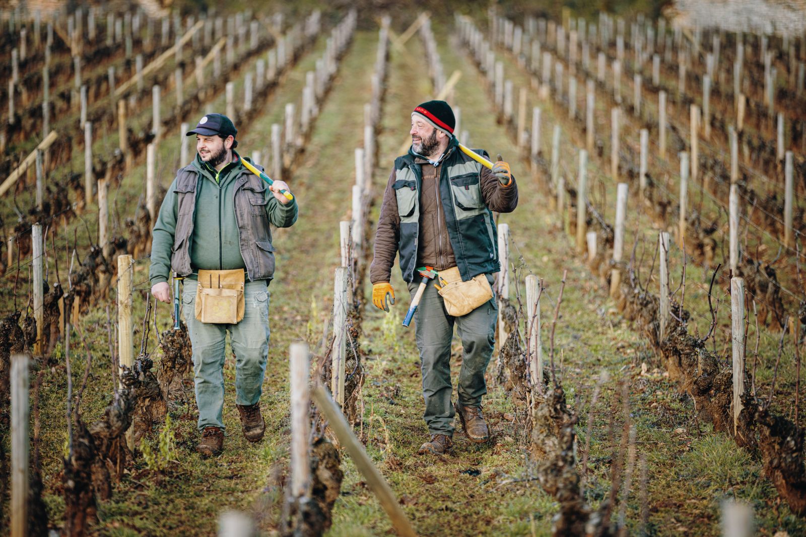Nhà rượu Maison Champy hướng đến Sustainable và Organic