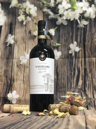 Rượu vang Due Palme Angelini