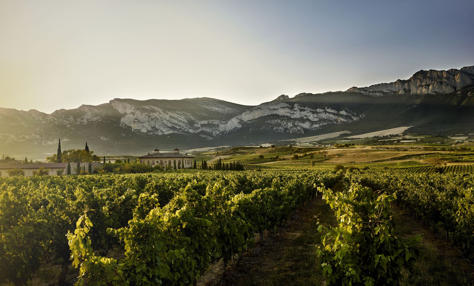 Rioja wine region of Spain