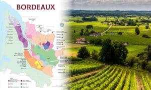Vùng rượu vang Pháp - Bordeaux