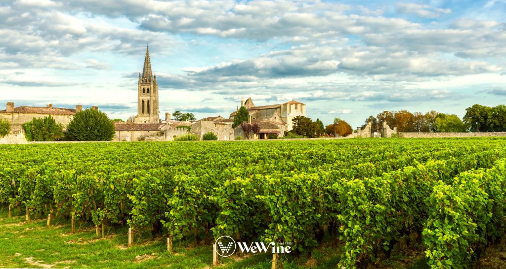 Vùng Bordeaux - thủ phủ của rượu vang Pháp danh tiếng với những vườn nho trải dài bất tận