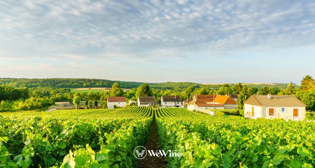 Thung lũng Loire - vườn rượu vang Pháp thơ mộng với những lâu đài cổ kính và dòng sông uốn lượn