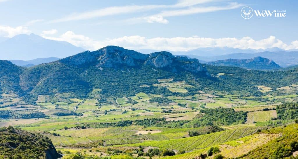 Vùng rượu vang Pháp Languedoc - biểu tượng của sự tái sinh, nơi thế hệ trẻ viết lại lịch sử rượu vang miền Nam