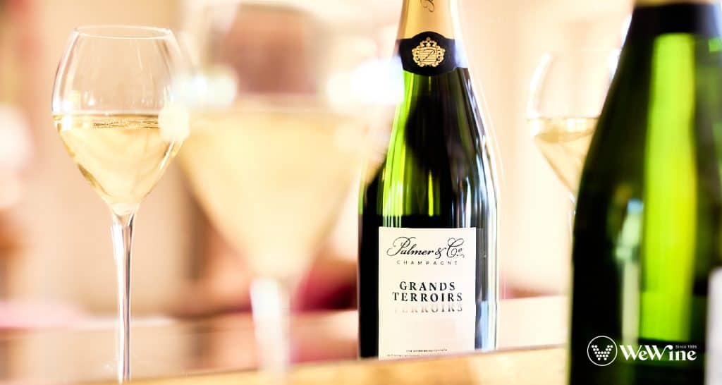 Champagne Palmer & Co - khi ánh sáng vàng từ vùng rượu vang Pháp Reims nhảy múa trong những bong bóng champagne như tiên nữ