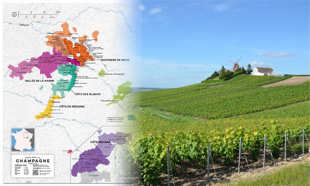 Vùng Champagne - nơi ra đời của rượu vang Pháp sủi bọt nổi tiếng nhất thế giới