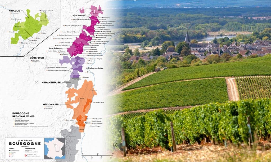 Vùng rượu vang Pháp Bourgogne - thánh địa của những chai rượu vang Pháp đắt giá nhất thế giới