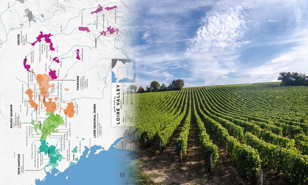 Thung lũng Loire - vườn rượu vang Pháp thơ mộng với những lâu đài cổ kính và dòng sông uốn lượn