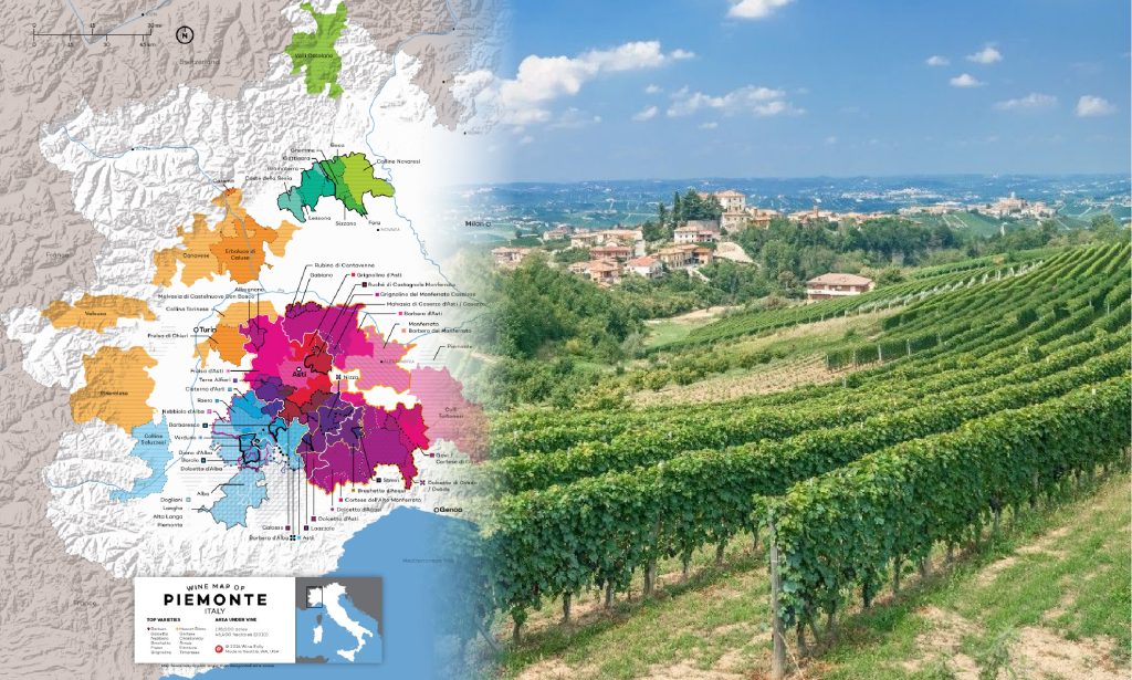 Piedmont - vương quốc của rượu vang Ý cao cấp, nơi những chai Barolo và Barbaresco huyền thoại ra đời.