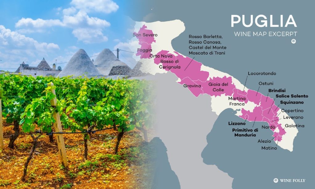Được mệnh danh là 'gót giày' của Italia, Puglia sản xuất rượu vang Ý với cá tính mạnh mẽ từ khí hậu Địa Trung Hải và đất đỏ màu mỡ.